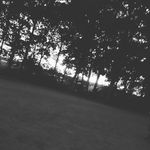 Tim-Conner - @timconner445 - Instagram