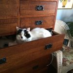 Tim Conner - @tim_conner - Instagram