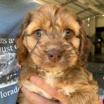 Tim Coombs - @tmcoombs - Instagram
