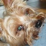 Tim Coombs - @john_t_coombs - Instagram
