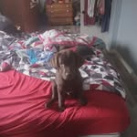 Tim Coombs - @coombs1221 - Instagram