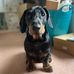 Tim Coombs - Facebook