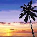 Tim Coomes - @coomestim - Instagram