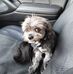 Tim Copp - Facebook