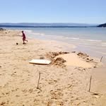 Tim Cordner - @cordnertim - Instagram