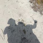 Tim Corrigan - @timsims19 - Instagram