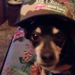 Tim Cotton - @tim.cotton.102 - Instagram