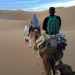 Tim Cotton - @timcotton - Instagram