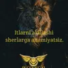 Tim covert - @www.tiktok.comtimcovet - TikTok