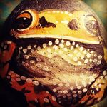 Tim Cowan - @timcowan - Instagram