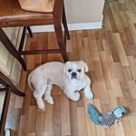 Tim Coyle - @tim.coyle32 - Instagram
