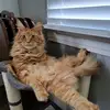 Tim Cramer - @tim.cramer7 - TikTok