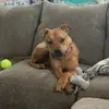 Tim Cramer - @tim.cramer4 - TikTok