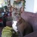 Tim Creech - Facebook
