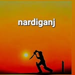 SUMIT GOSWAMI - @nardiganj_ground_cricket_time - Instagram