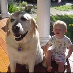 Tim Cronin - @timmy.cronin - Instagram