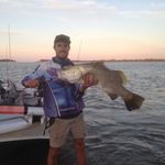 Tim Cronin - @tim.cronin.1447 - Instagram
