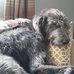 Tim Cronin - Facebook