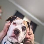 Tim Crowe - @crowe4097 - Instagram