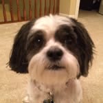 Tim Crowe - @timcrowe01 - Instagram