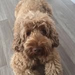 tim dale - @tim_dale220 - Instagram
