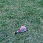 Tim Dale - @timdale672 - Instagram