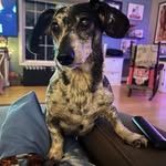 Tim Dame - @dame5761 - Instagram