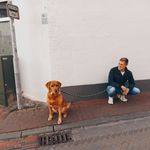 Tim Damer - @timdamer - Instagram
