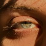 TIM DAMESTOY - @timdamestoy - Instagram