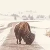timdahmes - @timdahmes - TikTok