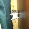tim - @timdangg - TikTok
