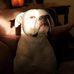 Tim Deacon - Facebook