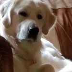Tim Dees - @tim.dees.94 - Instagram