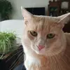 Tim DeGraff390 - @timdegraff - TikTok