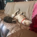 Tim Delp - @delp_tim - Instagram