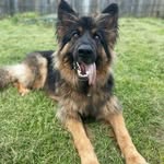 Tim Denny - @timdenny74 - Instagram