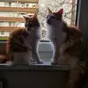 Tim - @tim_der_eine - TikTok
