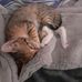 Tim Desroches - Facebook