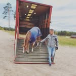 Tim de Vries - @timslepurk - Instagram