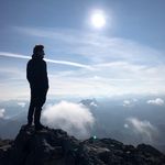 Tim Dewald - @timde.wald - Instagram