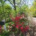 Tim Deweese - Facebook
