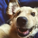 Tim DeWeese - @timdeweese - Instagram