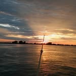 Tim Dibble - @timdibble - Instagram