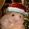 timothy - @timothy.diblasi - TikTok