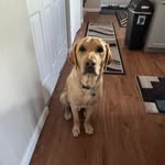 Tim Dickman - @tim.dickman - Instagram