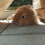 Tim Dinger - @ding_ding1547 - Instagram