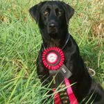Tim Doane - @kingseedkennels - Instagram