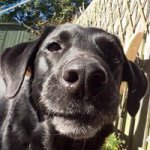 Tim Dobbins - @tim.dobbins - Instagram
