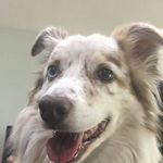 Tim Dobbins - @timdobbins222 - Instagram