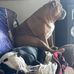 Tim Dobson - Facebook